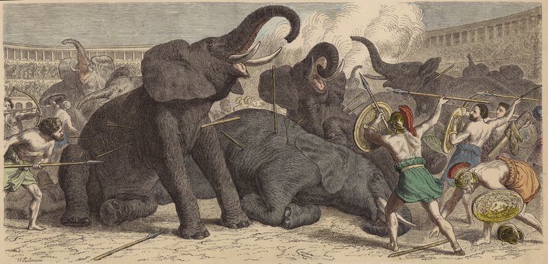 Elfogott elefántok megölése egy római arénában alkotó: Heinrich Leutemann