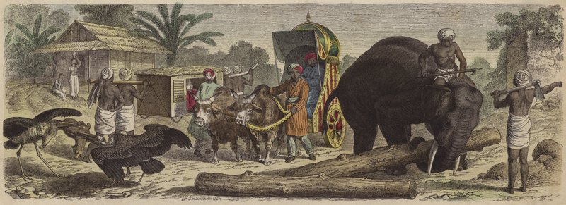 Jelenet Bengáliában, Indiában (színes metszet) alkotó: Heinrich Leutemann