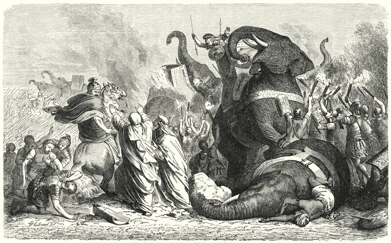 Az asculumi csata, ie 279 (metszet) alkotó: Heinrich Leutemann