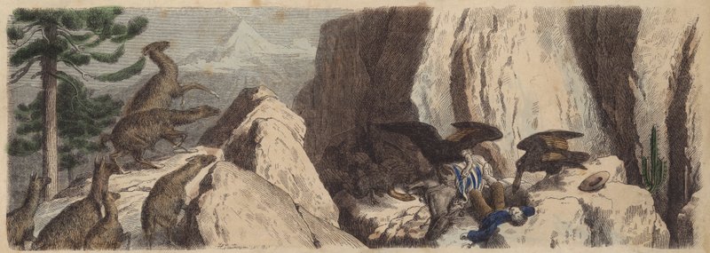 Chilei Andok (színes metszet) alkotó: Heinrich Leutemann