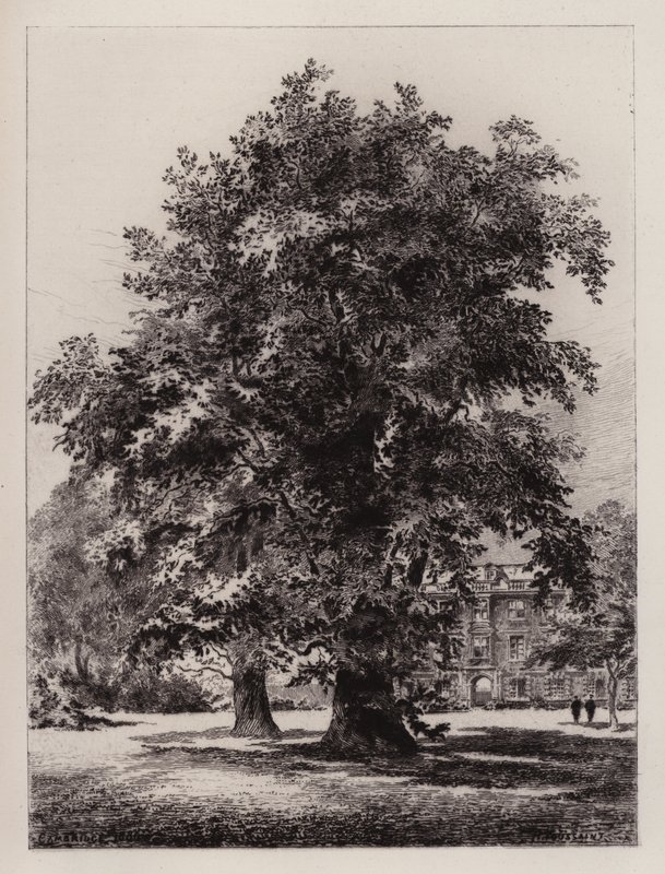 Cambridge: The Garden of Christ