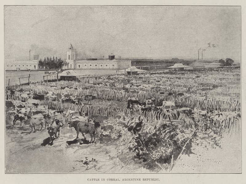 Szarvasmarha Corralban, Argentin Köztársaságban alkotó: Henry Charles Seppings Wright