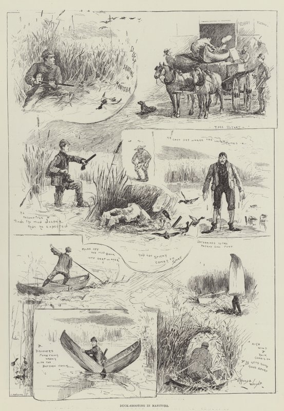 Kacsalövészet Manitobában alkotó: Henry Charles Seppings Wright