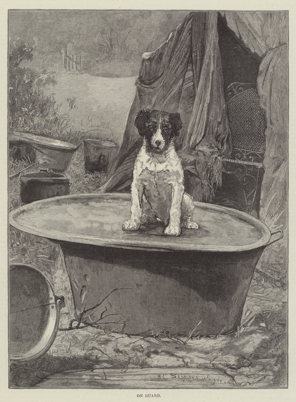 Résen alkotó: Henry Charles Seppings Wright