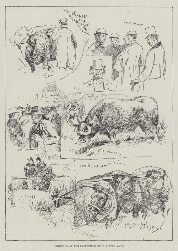 Vázlatok a Smithfield Club Cattle Show-n alkotó: Henry Charles Seppings Wright