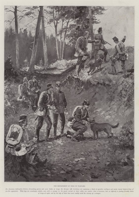 A kutyák alkalmazása a hadviselésben alkotó: Henry Charles Seppings Wright