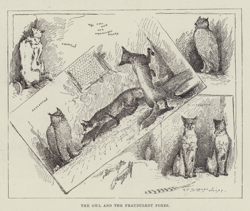 A bagoly és a csaló rókák alkotó: Henry Charles Seppings Wright