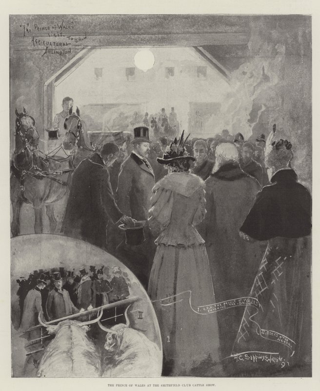 A walesi herceg a Smithfield Club szarvasmarha kiállításon alkotó: Henry Charles Seppings Wright