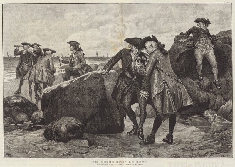 A kagylósok alkotó: Henry Gillard Glindoni
