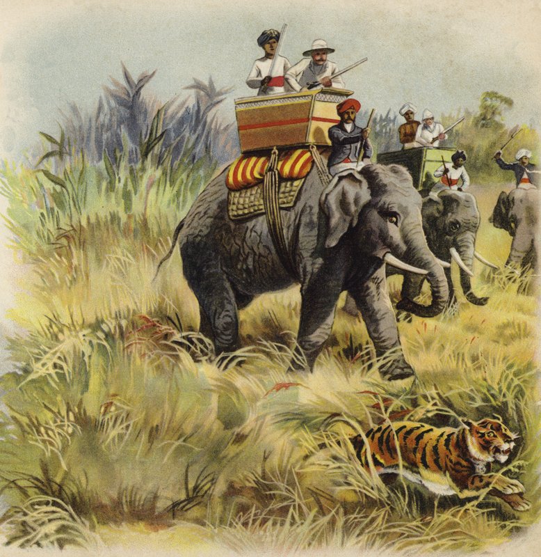 A walesi herceg tigrisvadászat Indiában (chromolitho) alkotó: Henry Payne