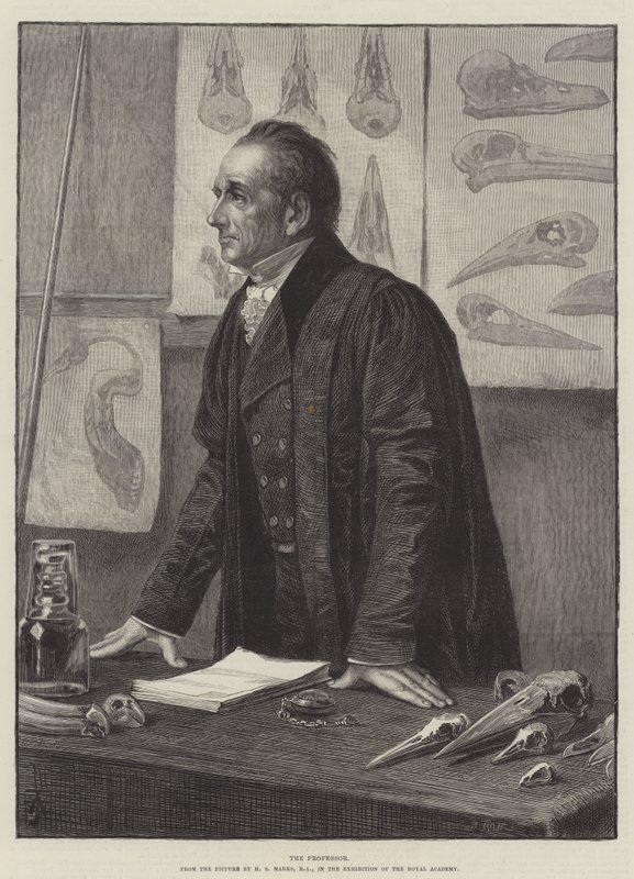 A professzor alkotó: Henry Stacey Marks