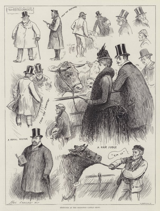 Vázlatok az Islington Cattle Show-n alkotó: Henry Stephen Ludlow