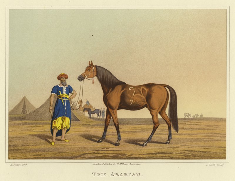 arab (chromolitho) alkotó: Henry Thomas Alken