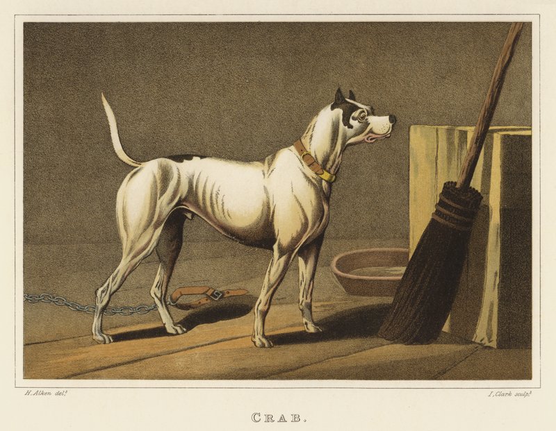 rák (chromolitho) alkotó: Henry Thomas Alken