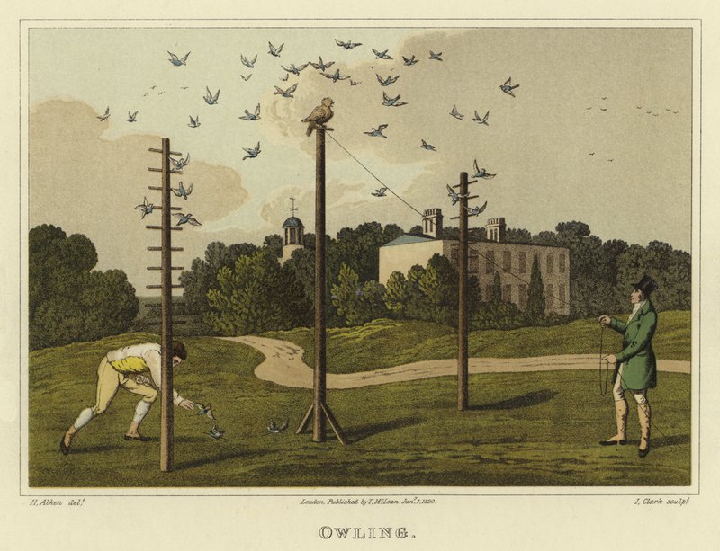 Bagoly (chromolitho) alkotó: Henry Thomas Alken