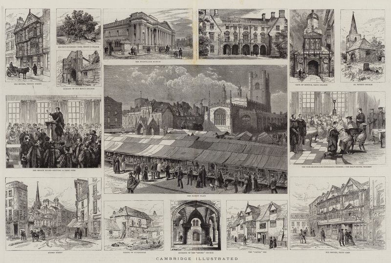 Cambridge Illustrated alkotó: Henry William Brewer