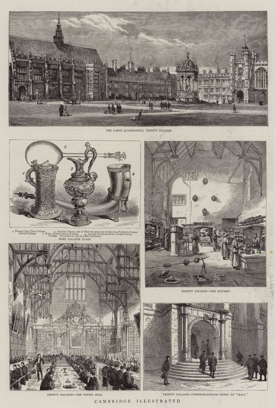 Cambridge Illustrated alkotó: Henry William Brewer