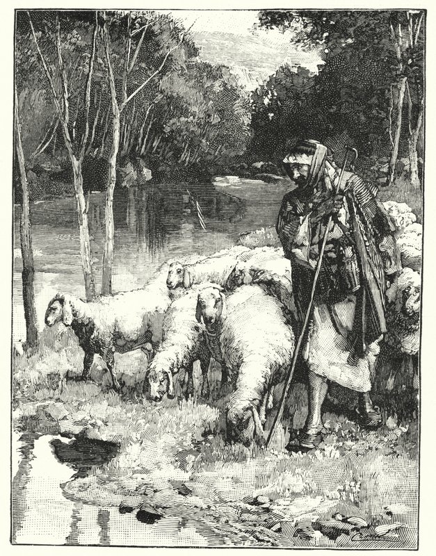Egy pásztor és nyája az Anti-Libanonban (litho) alkotó: Henry Andrew Harper