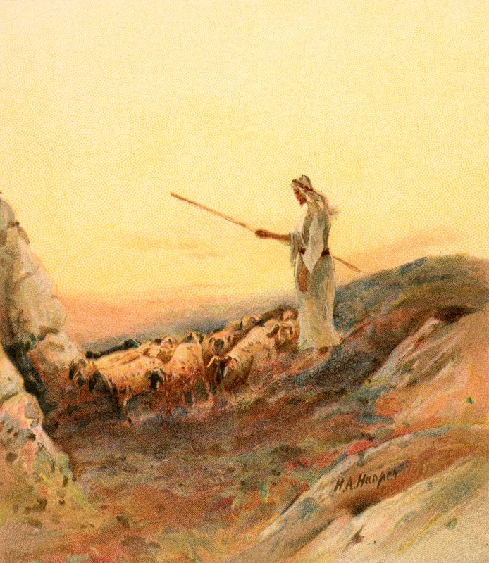 A juhait számláló pásztor alkotó: Henry Andrew Harper