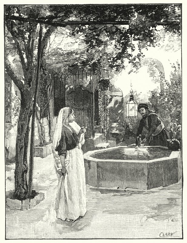 Egy ház udvara Damaszkuszban (litho) alkotó: Henry Andrew Harper