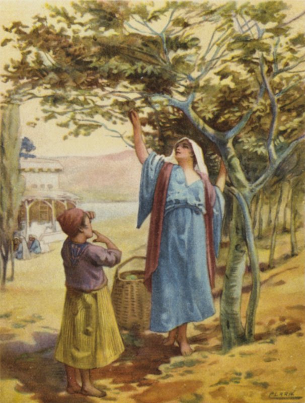 Fügegyűjtés (színes litó) alkotó: Henry Andrew Harper