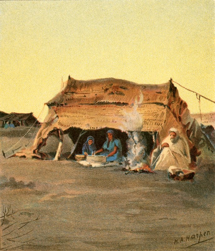 Sátor élettartama alkotó: Henry Andrew Harper