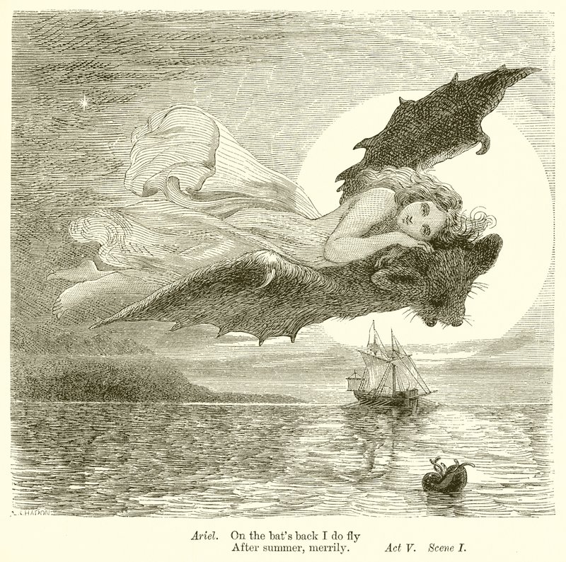 A vihar alkotó: Henry Courtney Selous