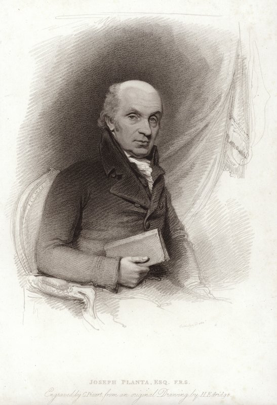 Planta József alkotó: Henry Edridge