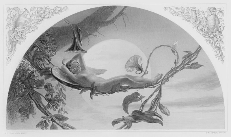 Ariel, a képről a Királyi Gyűjteményben (metszet) alkotó: Henry James Townsend