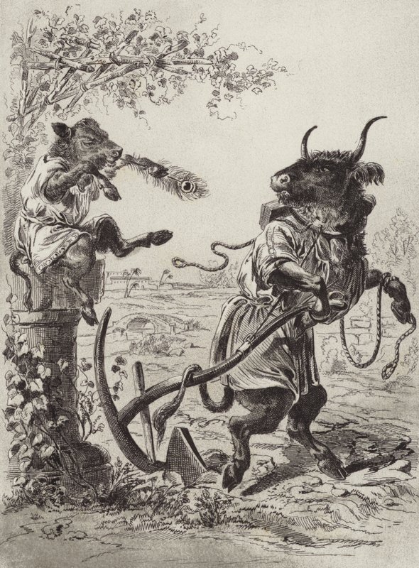 Aesopus meséi: The Wanton Calf (litho) alkotó: Henry Louis Stephens