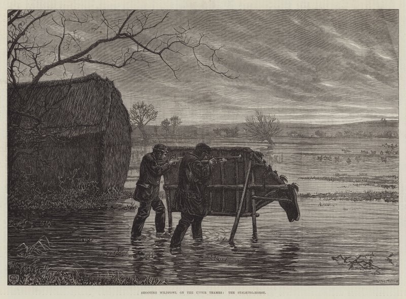 Vadmadarak lövöldözése a Felső-Temzén, a Stalking-Horse alkotó: Henry Robert Robertson