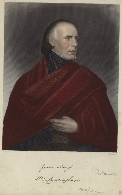 Allan Cunningham alkotó: Henry Room