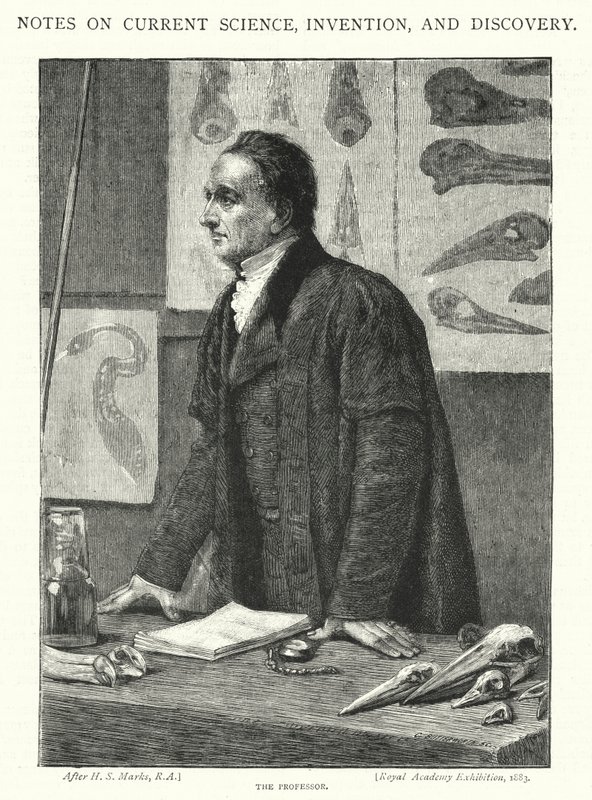 A professzor (metszet) alkotó: Henry Stacey (after) Marks