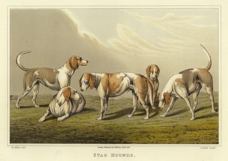 Szarvaskopók (chromolitho) alkotó: Henry Thomas Alken
