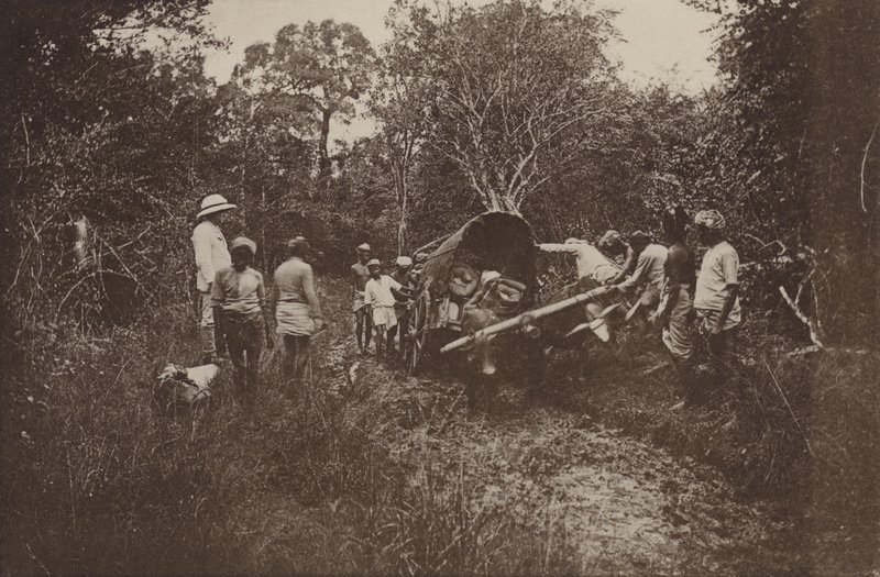 Ceylon romvárosai: Útban Polonnaruwa felé (f/w fotó) alkotó: Henry W. Cave