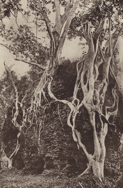 Ceylon romvárosai: Kotuwa (f/w fotó) alkotó: Henry W. Cave