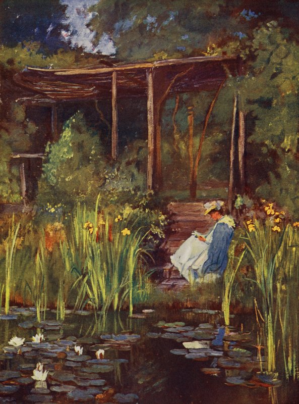 Vízikert (színes litográfia) alkotó: Herbert Arnould Olivier