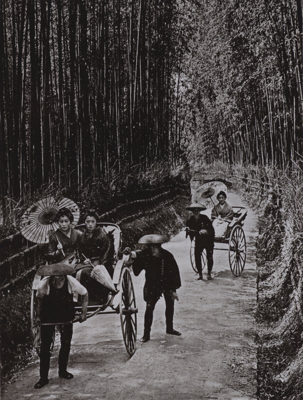 A Bamboo Avenue Kiotóban (f/w fotó) alkotó: Herbert Ponting