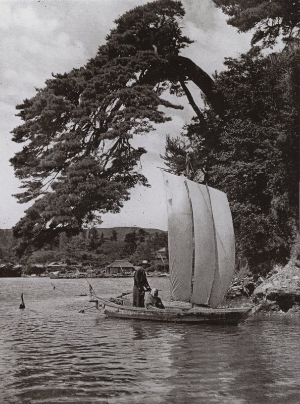 At Matsushima (b/w photo) alkotó: Herbert Ponting