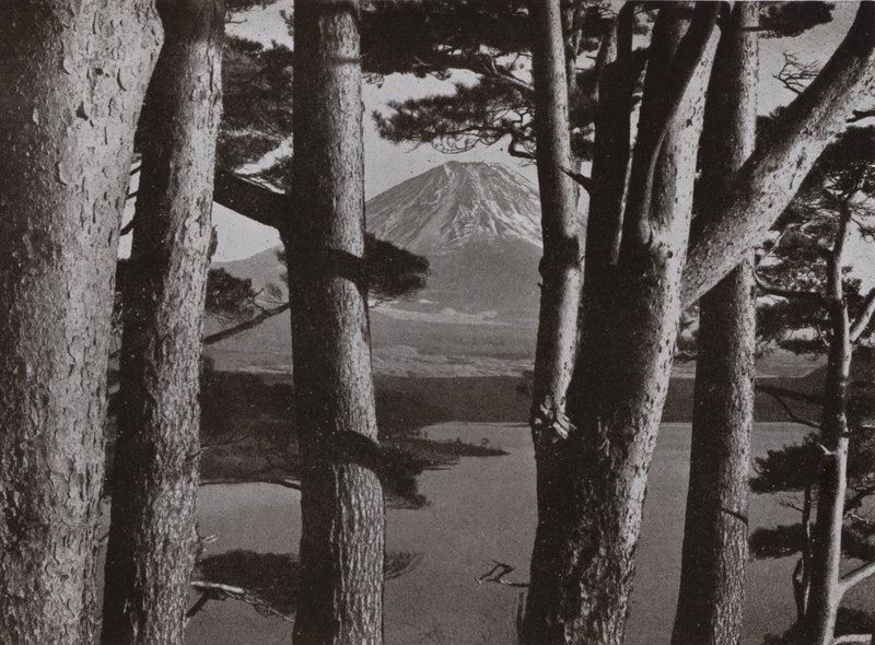 Fuji a fenyőfákon keresztül (f/w fotó) alkotó: Herbert Ponting