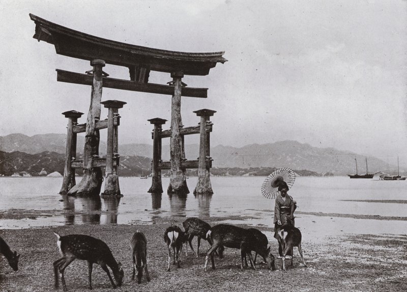 The Old Torii Miyajimában (f/w fotó) alkotó: Herbert Ponting