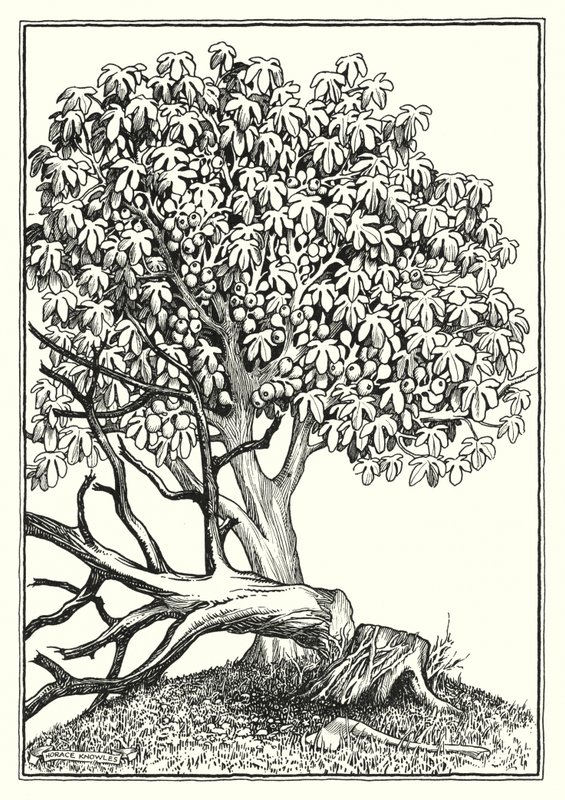 Illusztráció a Hegyi beszédhez (metszet) alkotó: Horace J. Knowles