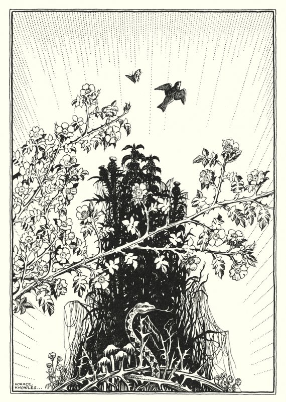 Illusztráció a Hegyi beszédhez (metszet) alkotó: Horace J. Knowles