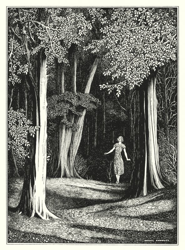 Július (litográfia) alkotó: Horace J. Knowles