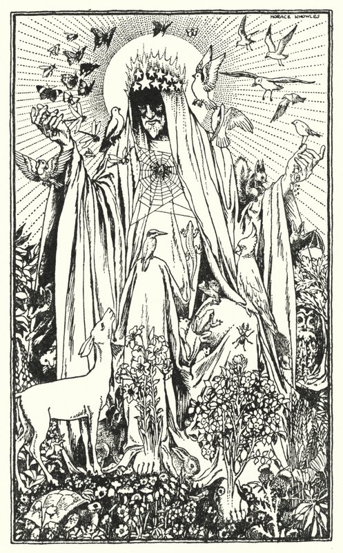 Robin Redbreast (litó) alkotó: Horace J. Knowles