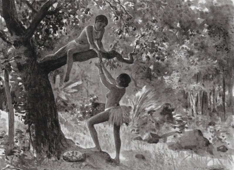 Az élet hajnala, A mindennapi kenyér (litográfia) alkotó: Horace van Ruith