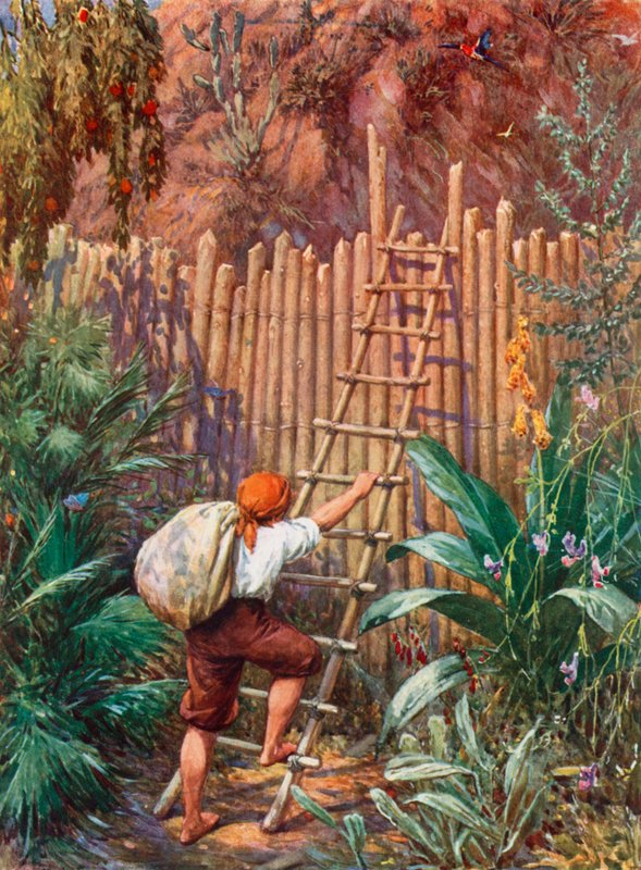 Illusztráció Robinson Crusoe-hoz alkotó: Howard Davie