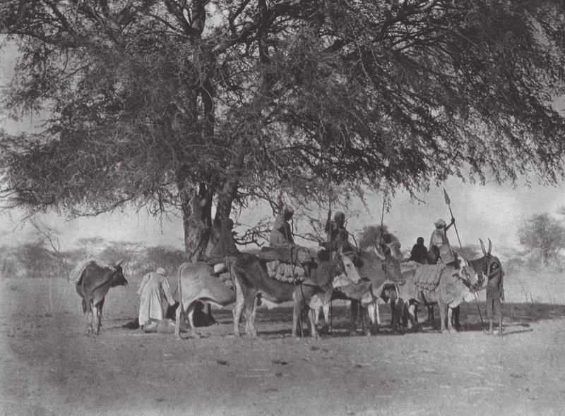 Afrika: Níluson (fekete-fehér fénykép) alkotó: Hugo Adolf Bernatzik