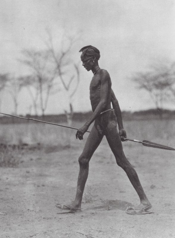 Afrika: Dinka harcos lándzsával (fekete-fehér fotó) alkotó: Hugo Adolf Bernatzik
