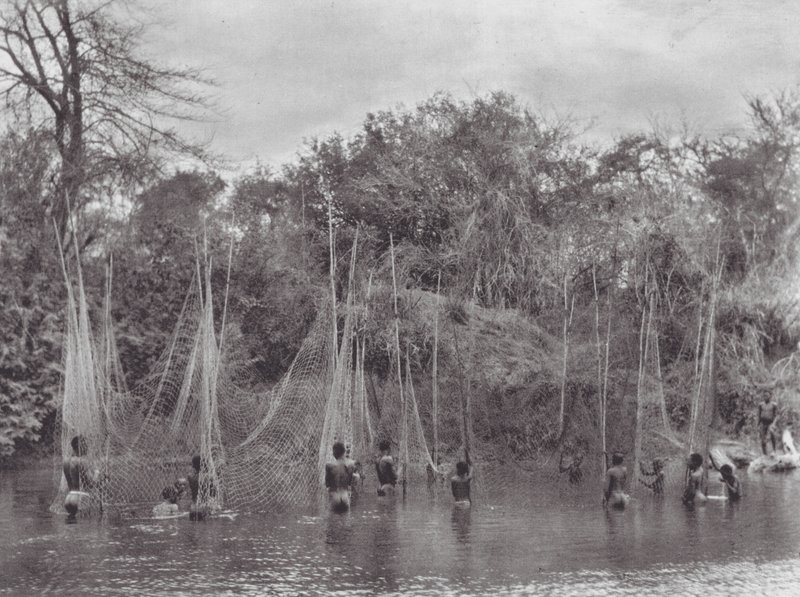 Afrika: Morus Fishing (fekete-fehér fotó) alkotó: Hugo Adolf Bernatzik